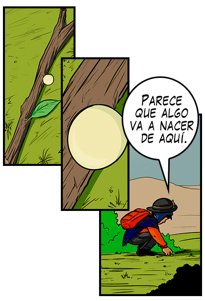sheet-2